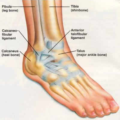 Ankle Ligament Injury Treatment  Bangalore, India